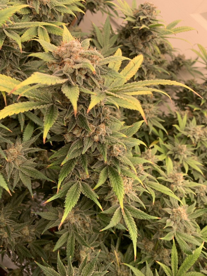 9DDE0B57-A5B2-440E-AEFD-96B13505B026