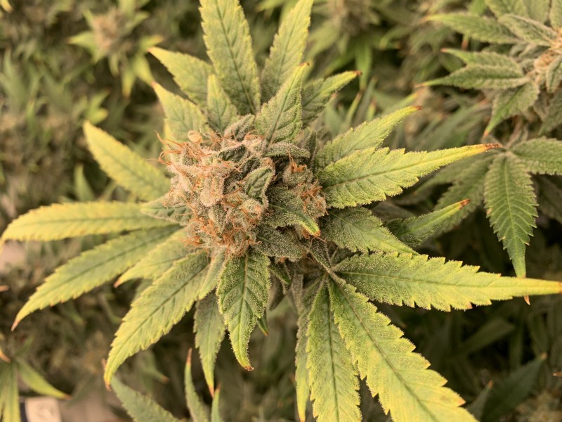 4308B0AA-05D6-4CAF-ABF4-1F69D7BACFCB