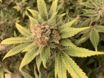 4308B0AA-05D6-4CAF-ABF4-1F69D7BACFCB