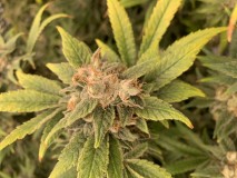 403B28B1-07E0-4DB7-8BB6-D207E56226B7