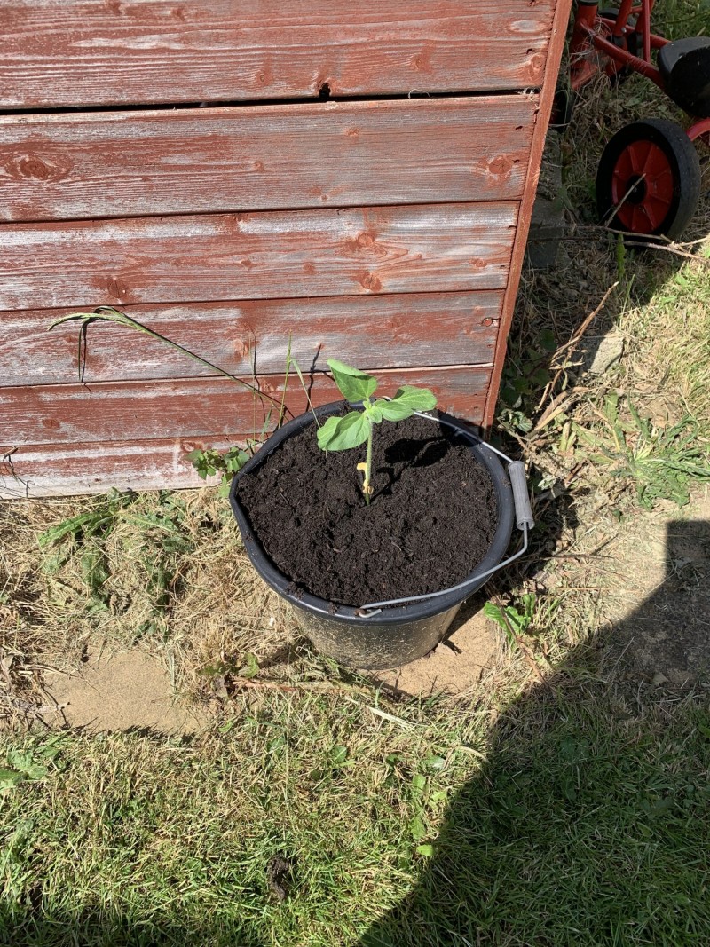 D250F5E2-9181-4462-AE63-48887D229D71