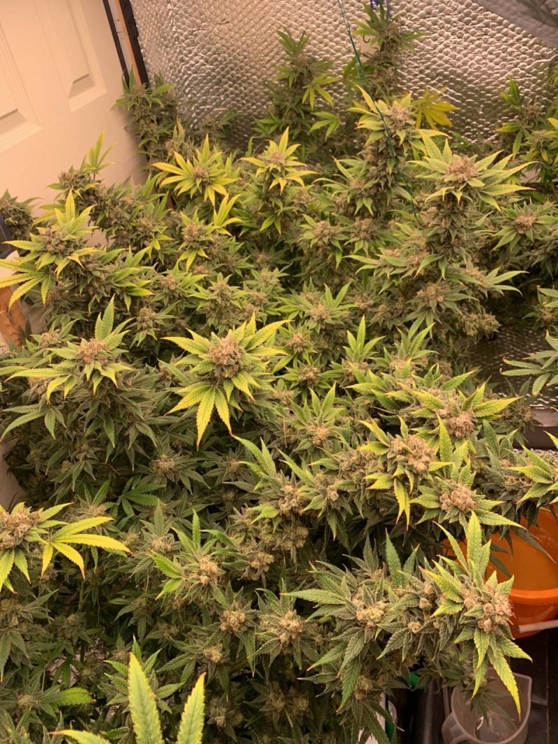 891A209D-F487-4A7C-9D5D-D62C86D00211