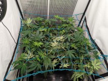 PXL_20230615_094259722