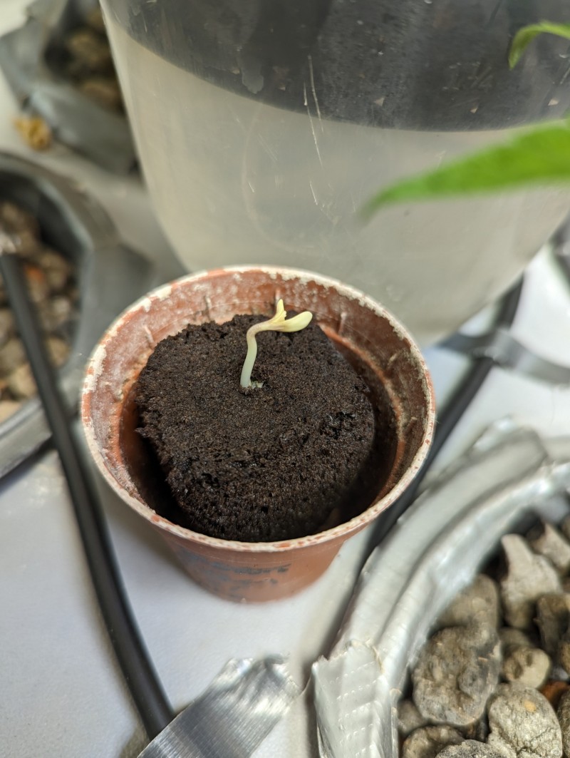 PXL_20230629_151615986