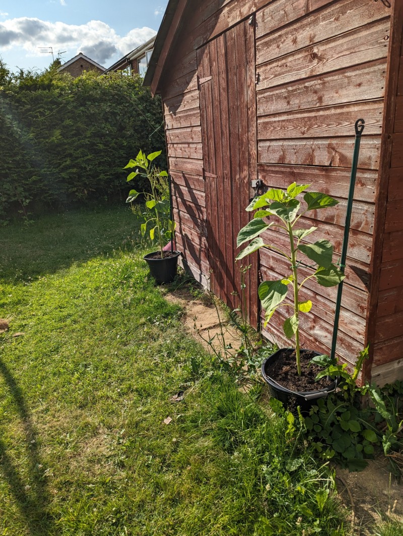 PXL_20230629_163532008