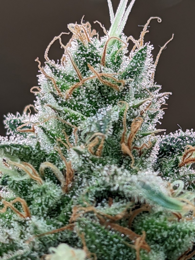 PXL_20230629_202534790