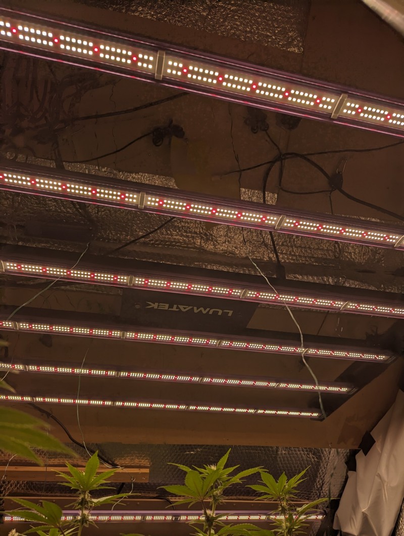 PXL_20230707_161934075