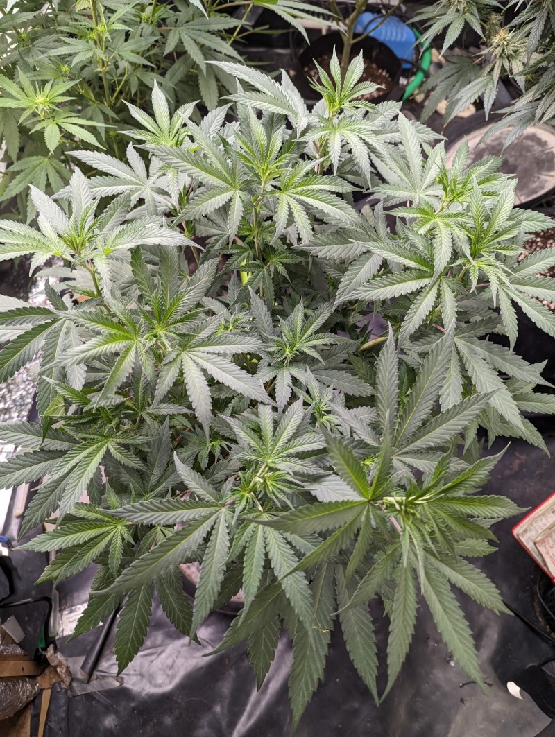 PXL_20230710_201746119