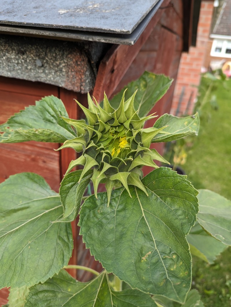 PXL_20230720_172404552