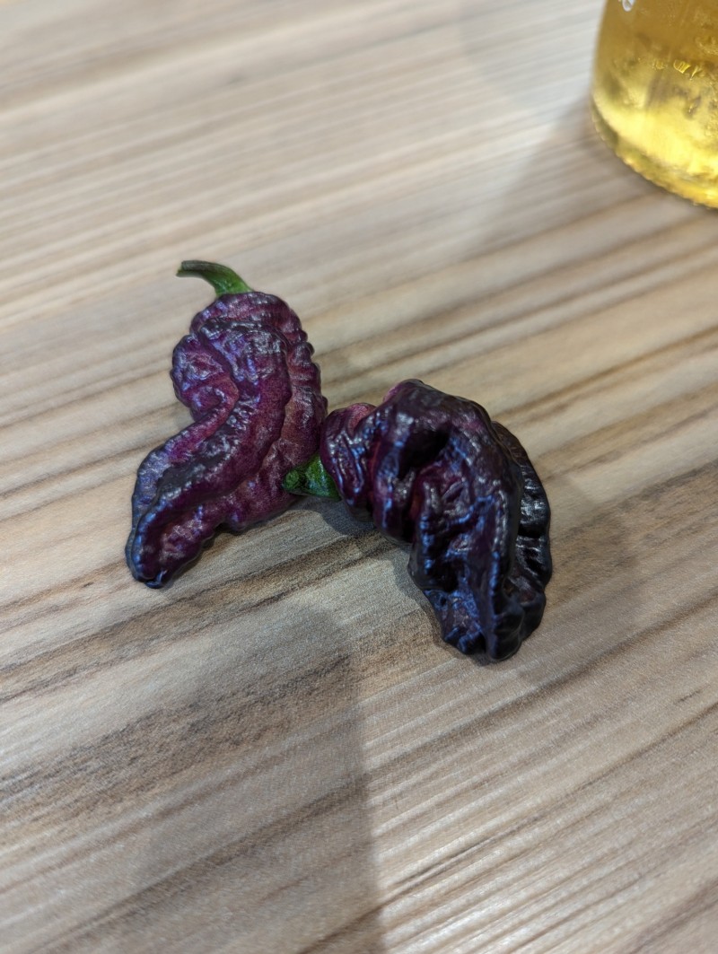 PXL_20230722_125336557