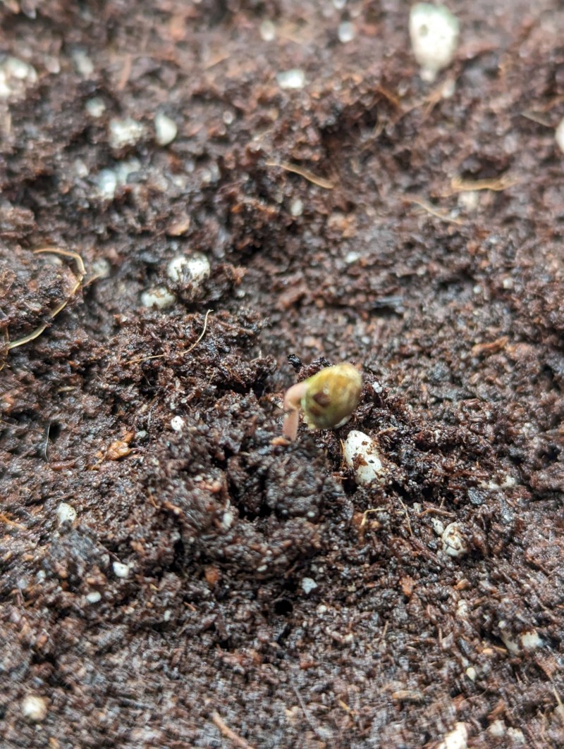 PXL_20230721_194622268