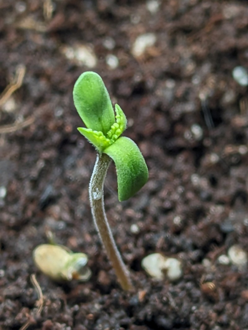 PXL_20230722_194923804