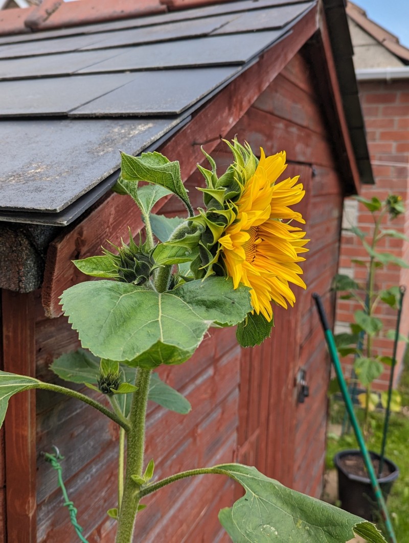 PXL_20230725_141842934