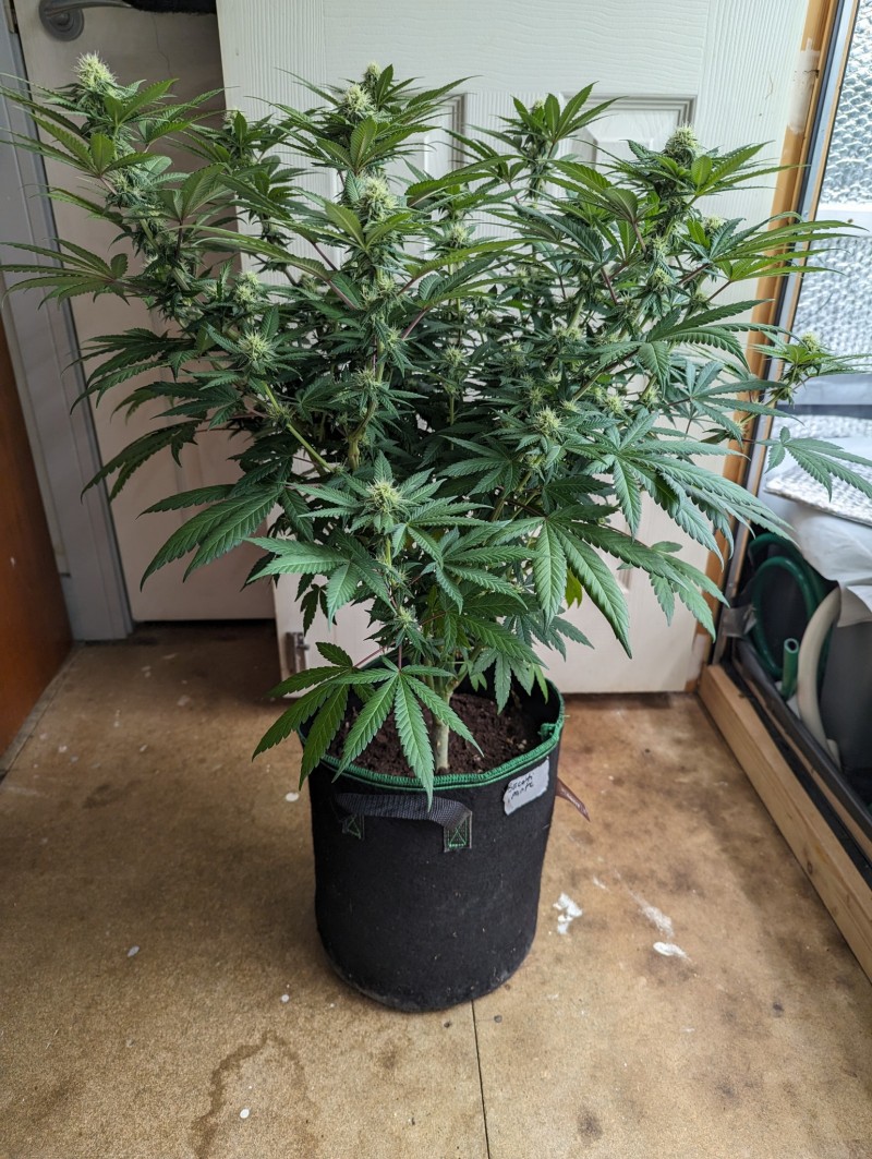 PXL_20230730_204255705