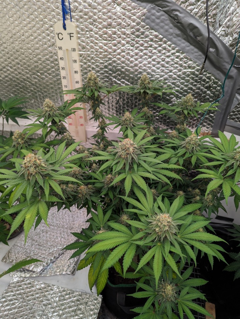 PXL_20230812_140843243