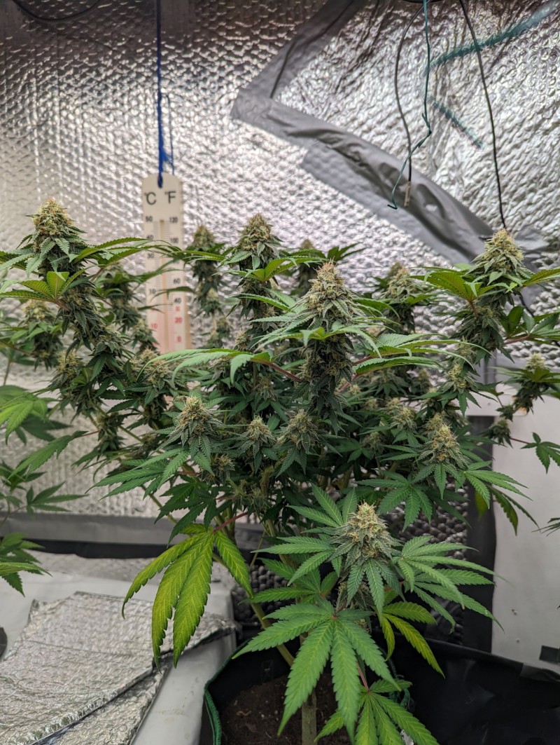 PXL_20230812_140854629