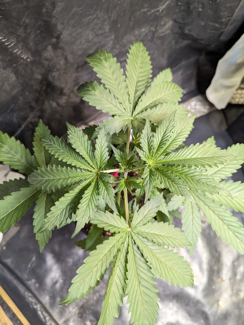 PXL_20230826_163924920