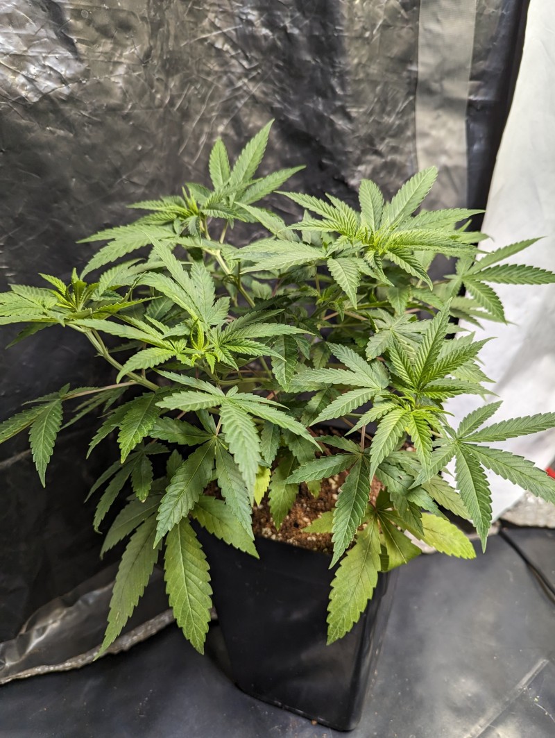 PXL_20230826_163747873