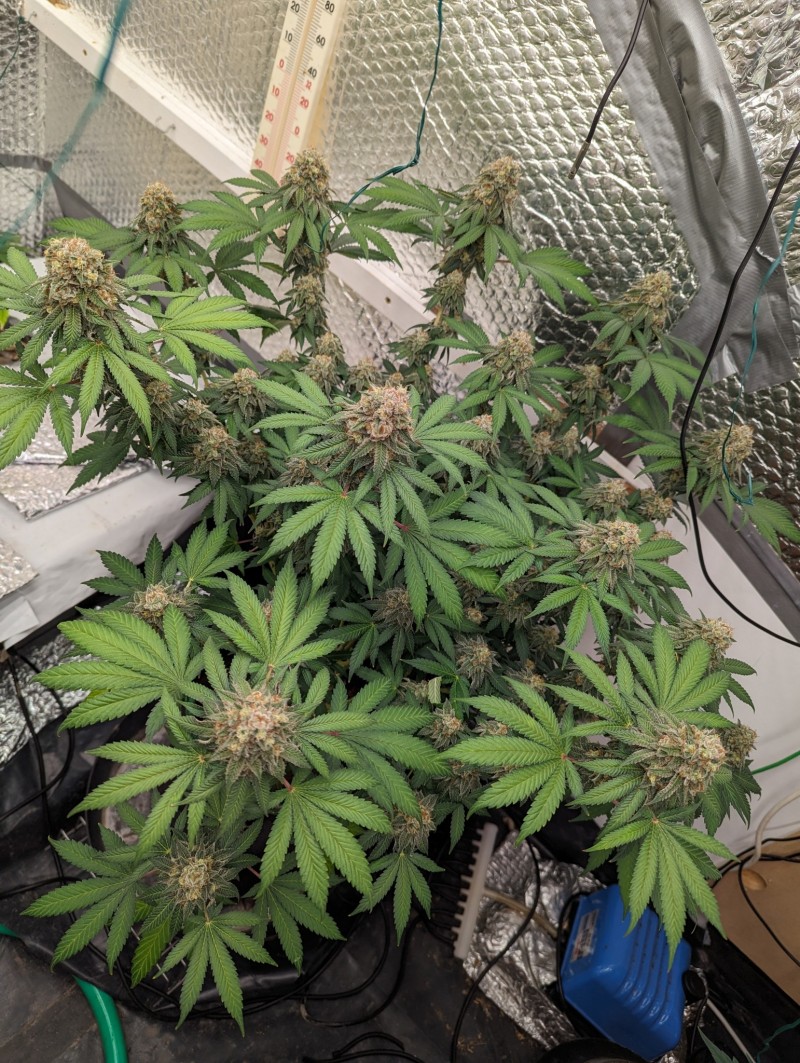 PXL_20230827_201946464