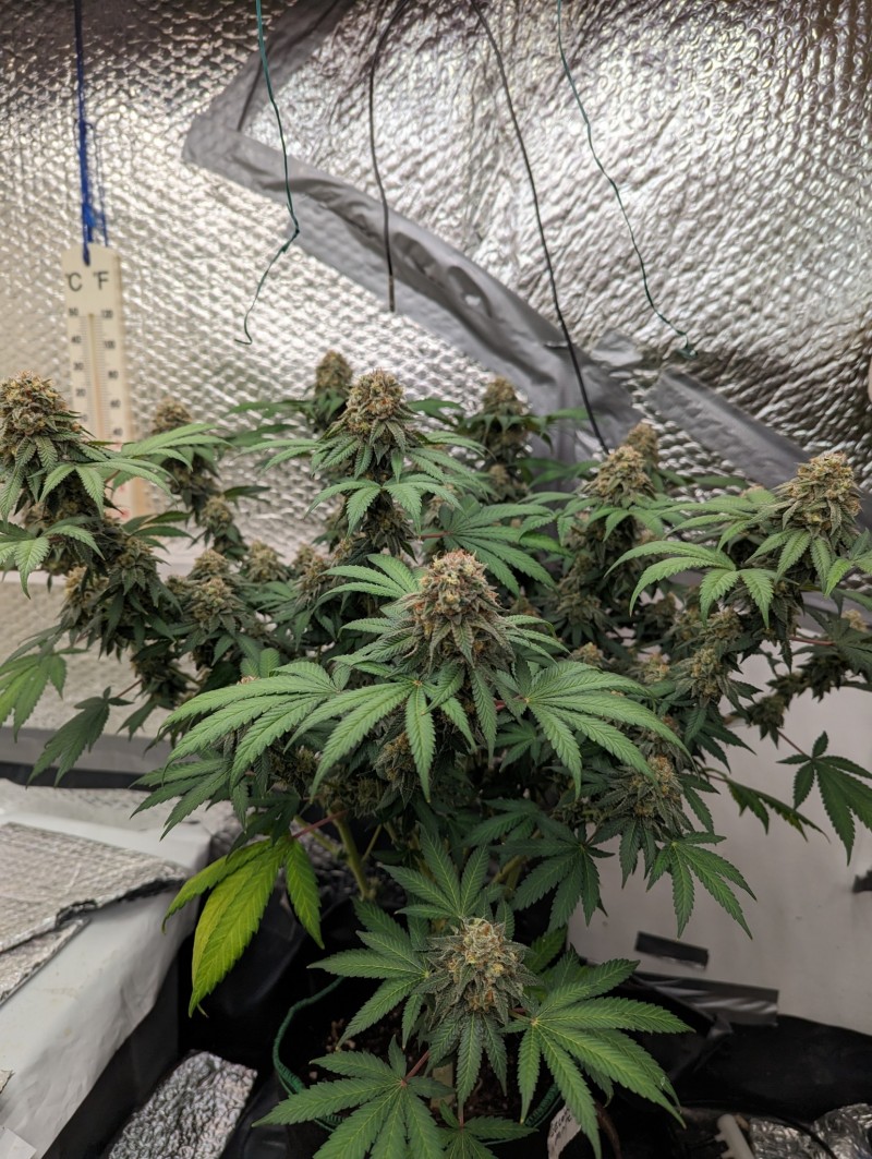 PXL_20230827_202003943