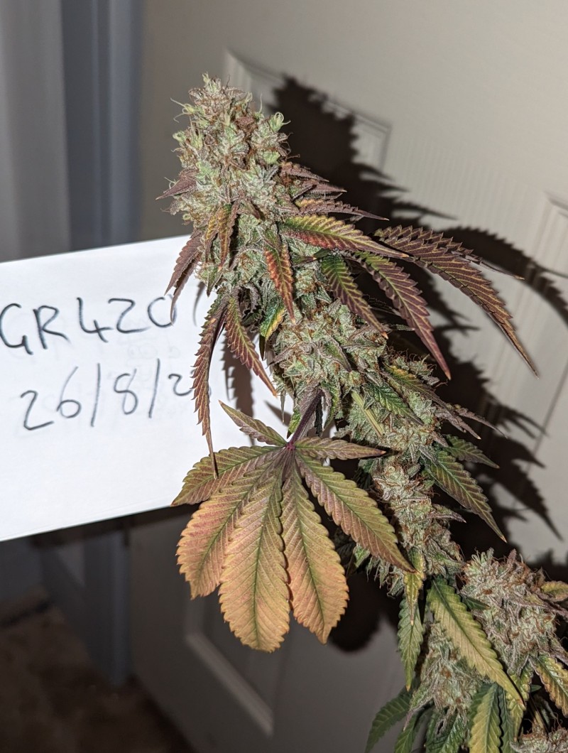 PXL_20230826_203631048~2