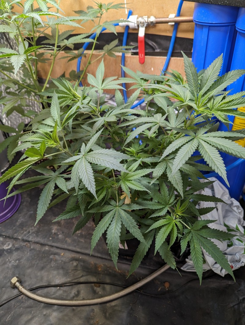 PXL_20230905_192350509