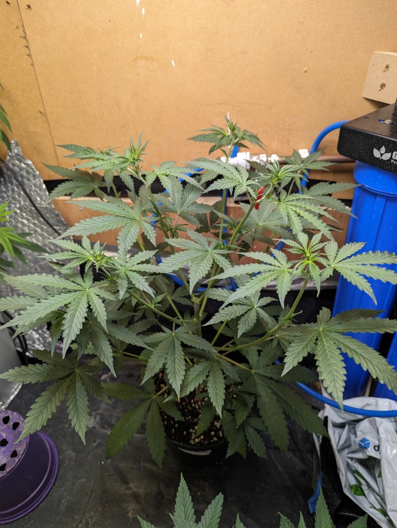 PXL_20230905_192447729