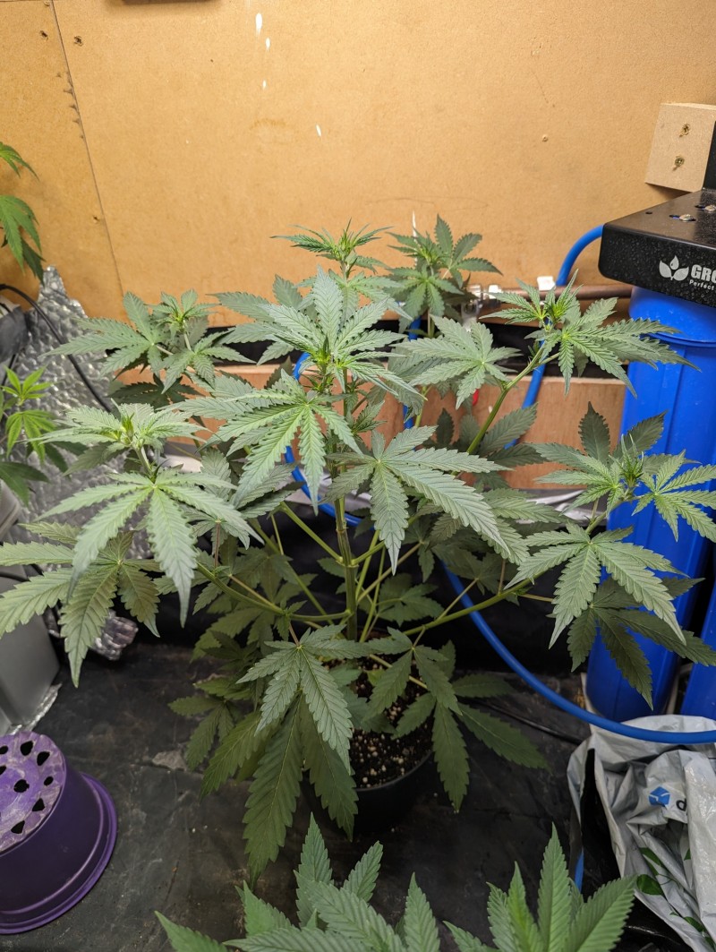 PXL_20230905_192423235