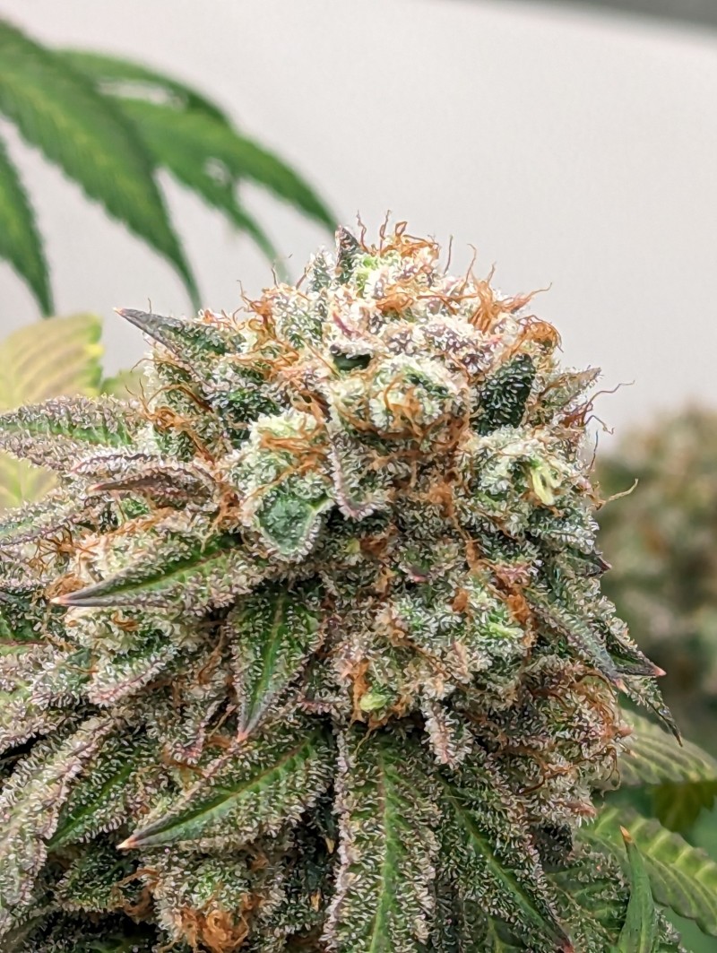 PXL_20230909_194812453