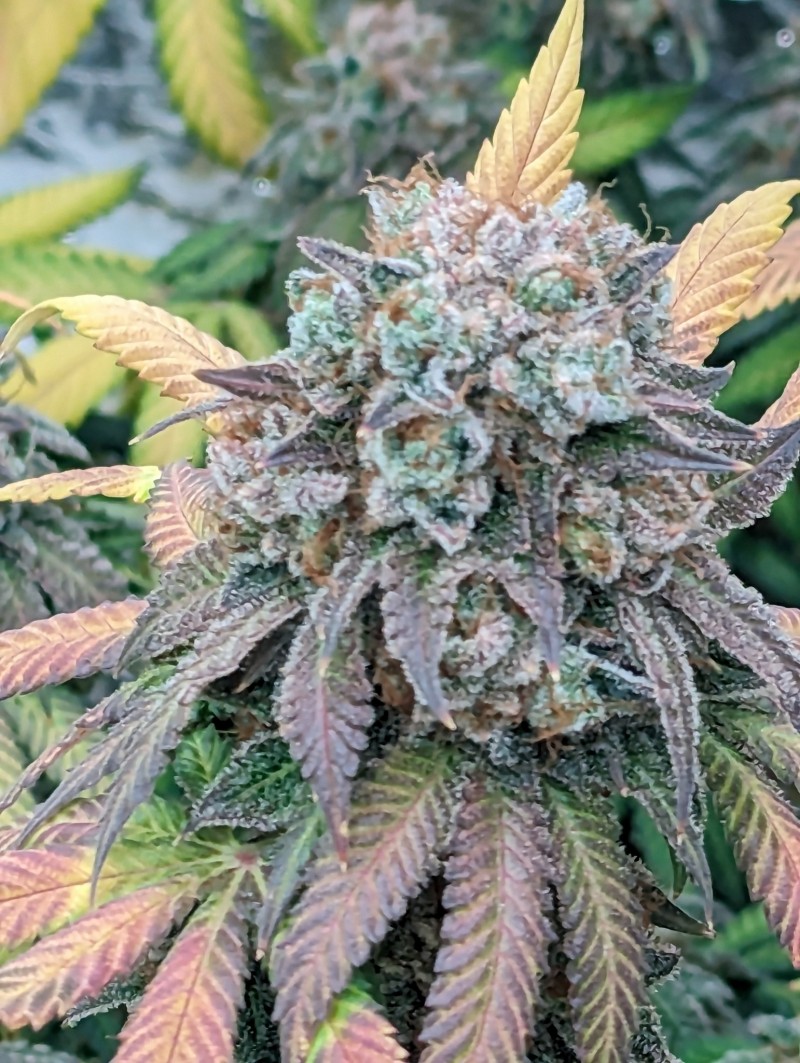 PXL_20230914_194900138