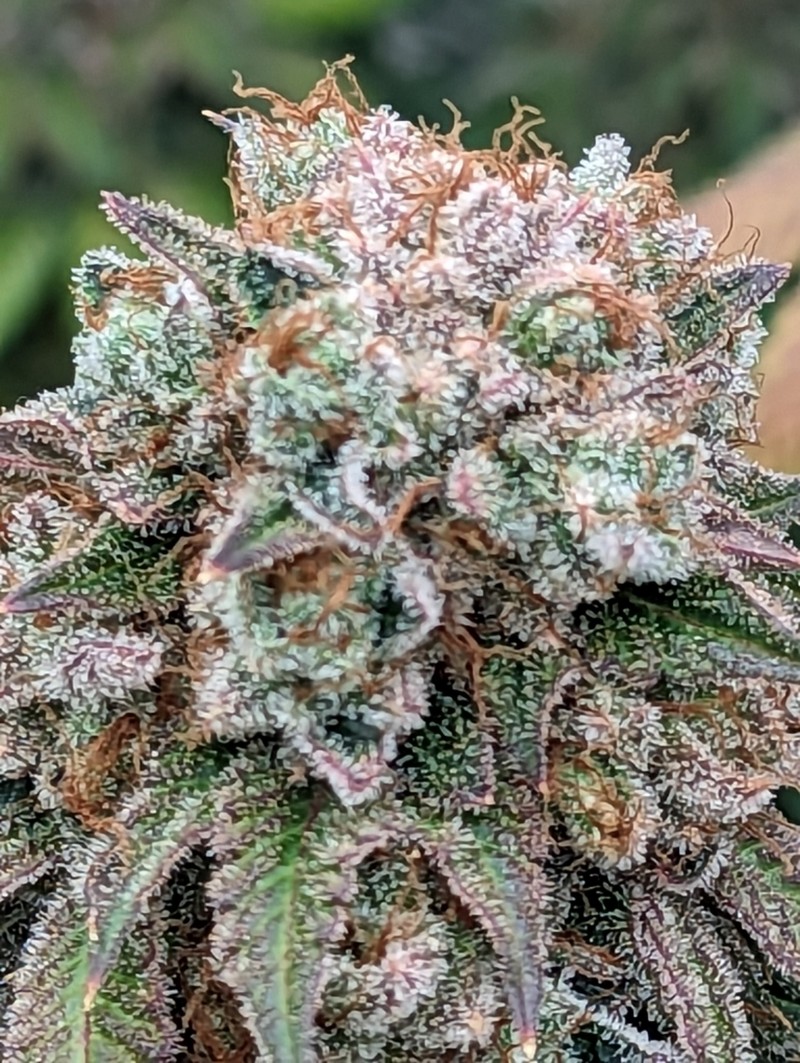 PXL_20230912_192003052