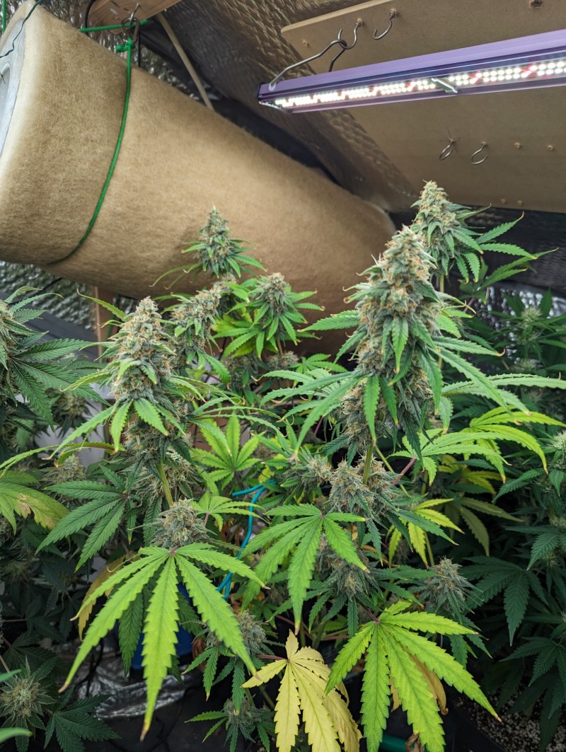 PXL_20231009_192757690