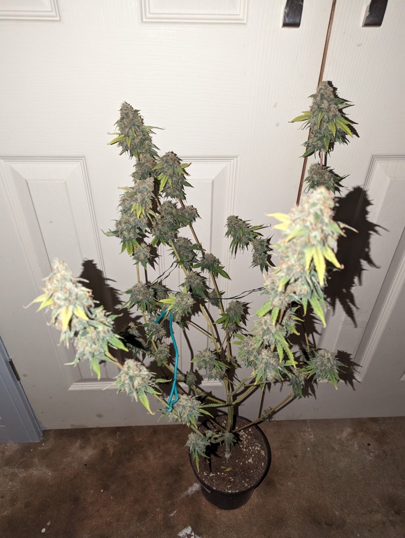 PXL_20231016_200003168