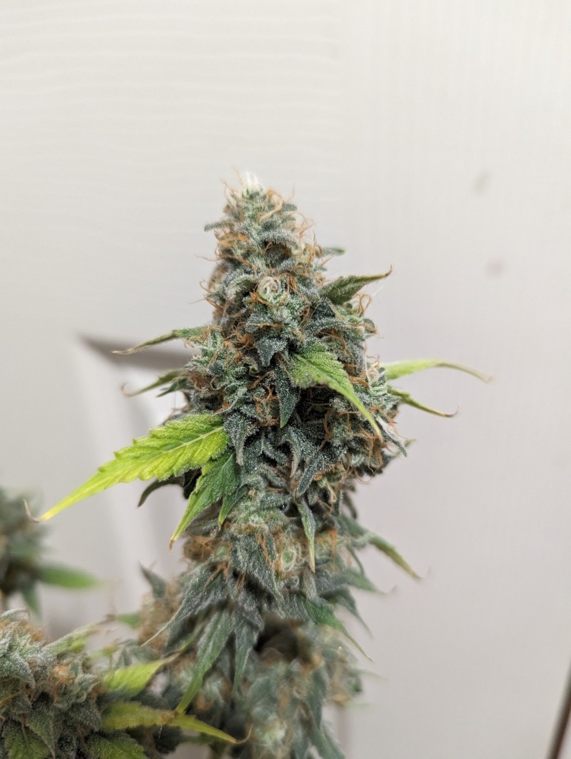 PXL_20231016_195650462