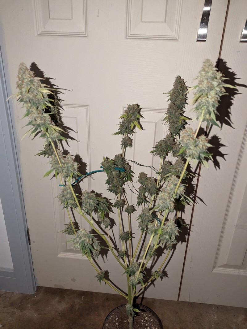 PXL_20231016_195718761