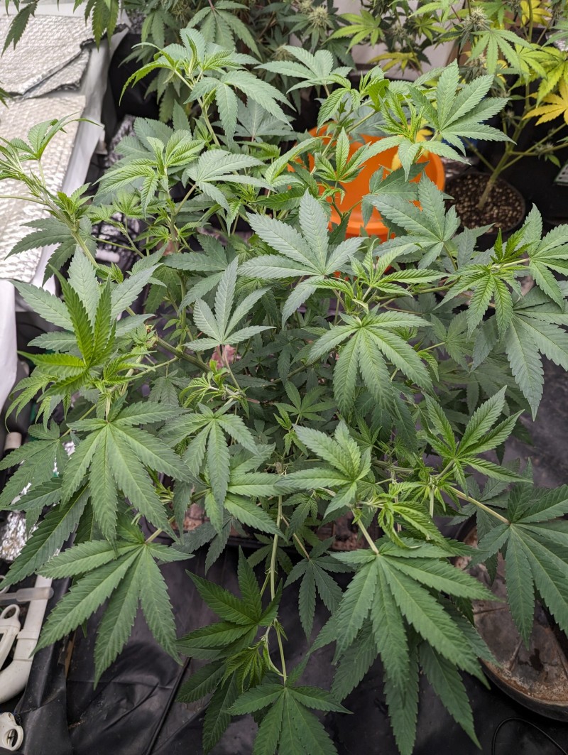 PXL_20230929_200338845