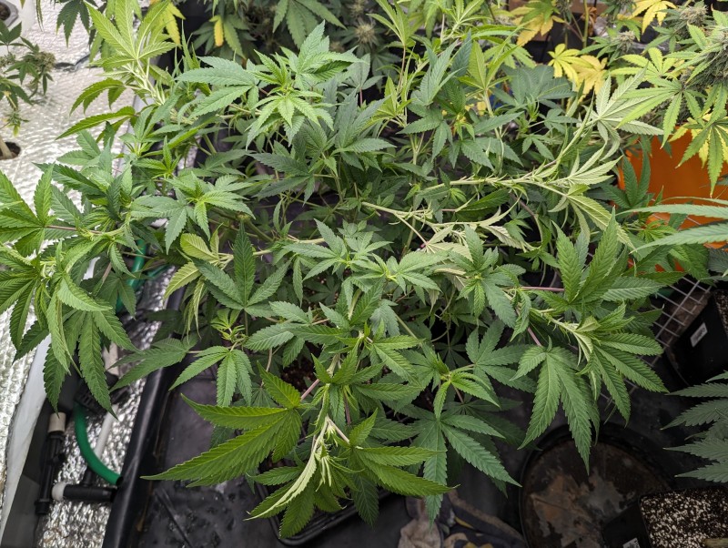 PXL_20231006_204729442