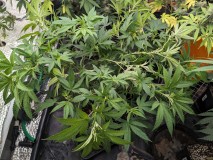 PXL_20231006_204729442