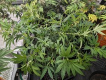 PXL_20231006_204913527