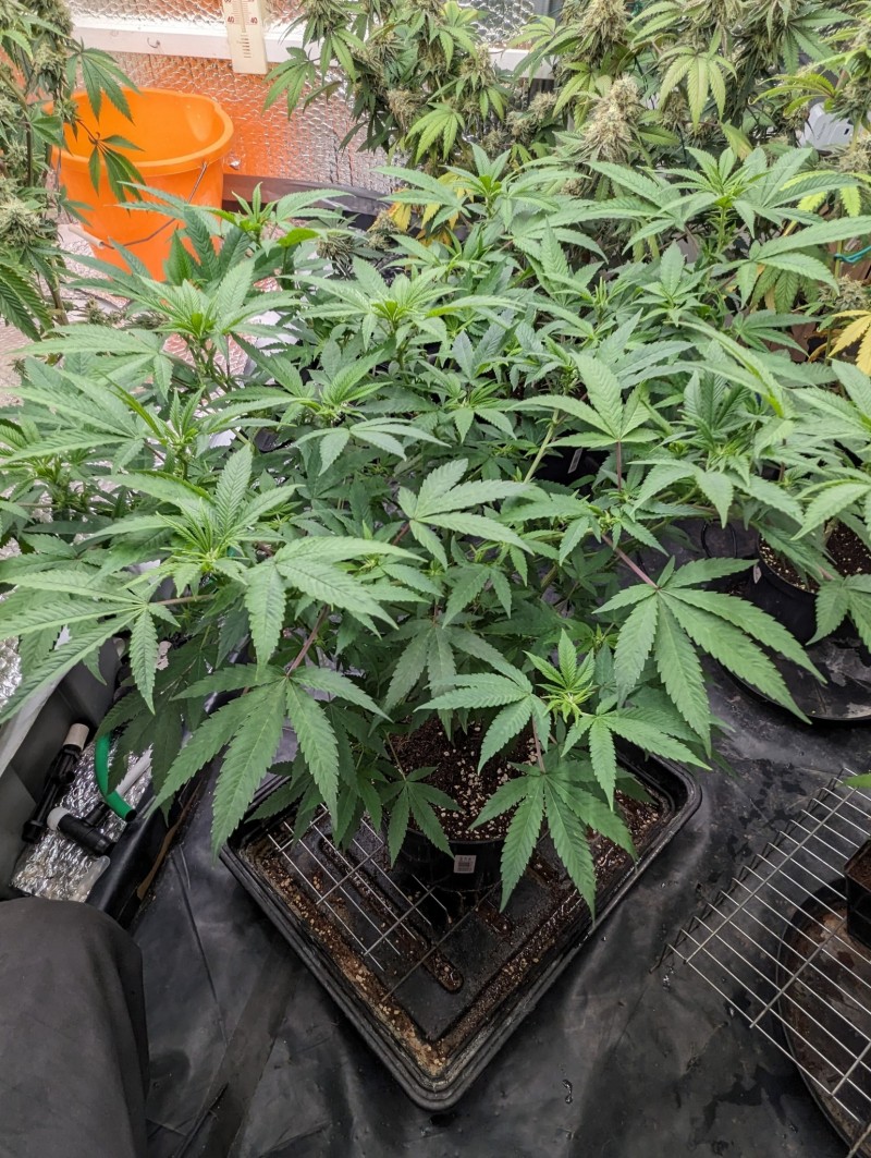 PXL_20231009_193042485