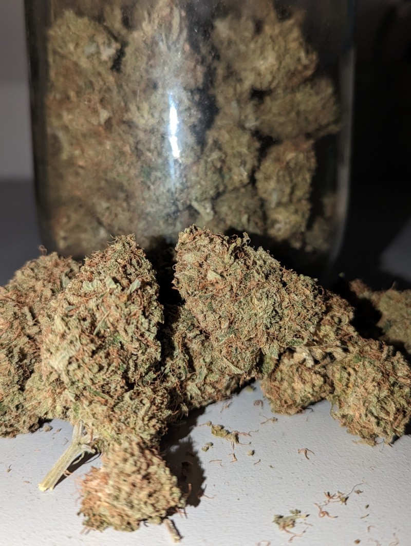 PXL_20240123_140506592