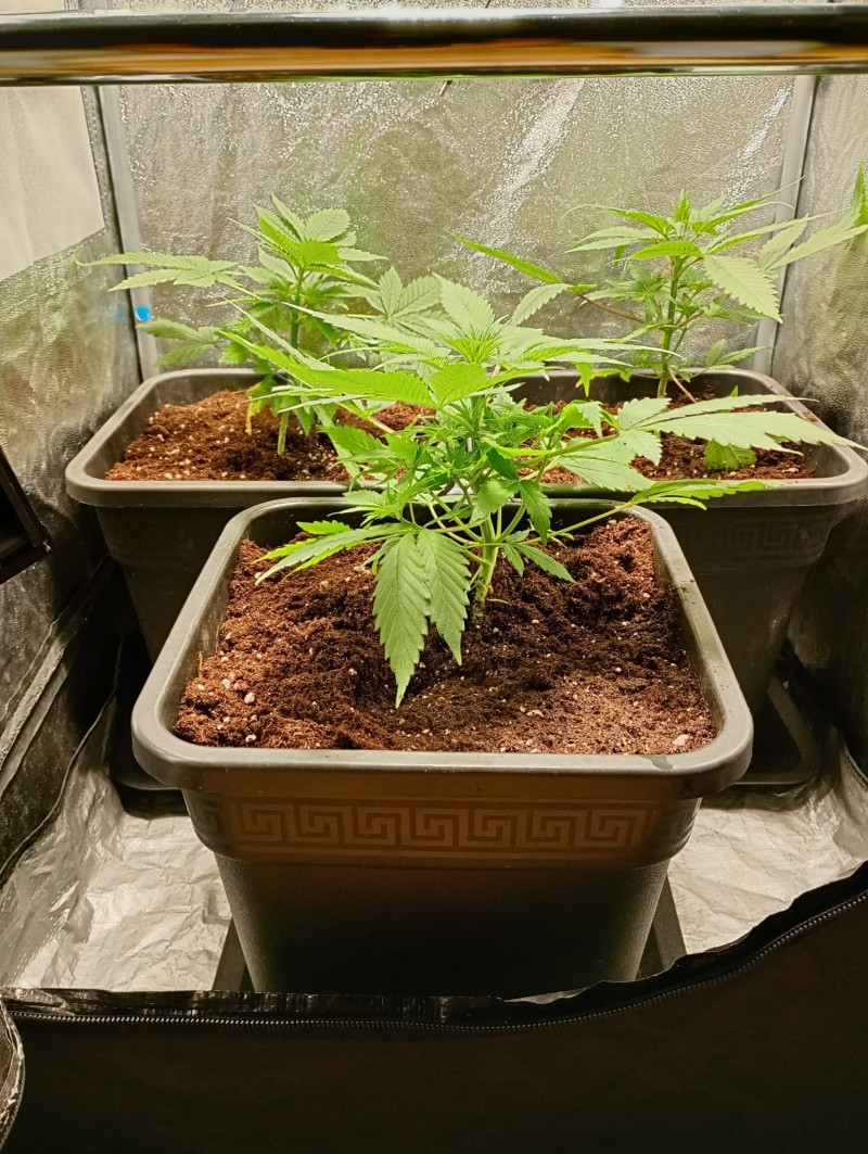 groepfoto1