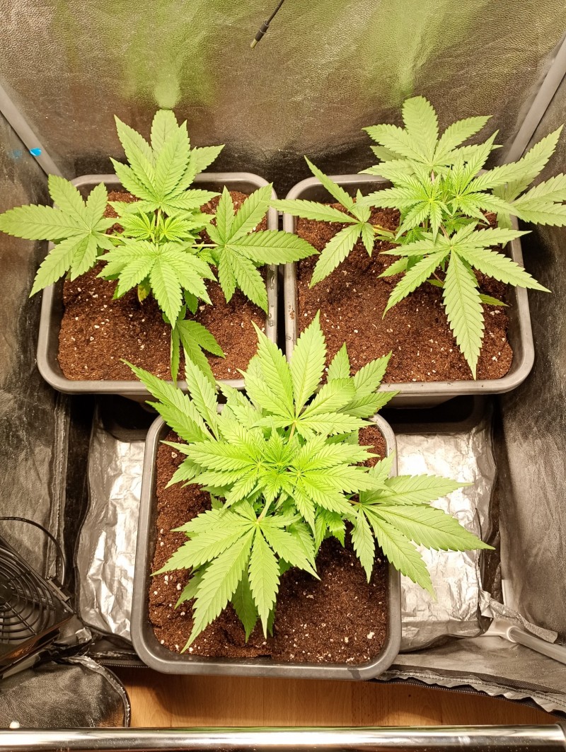 groepfoto2