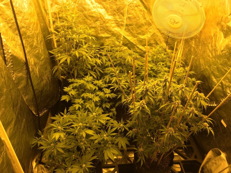 0B3A9148-04A1-4AF6-BDCE-6B584F7E351A