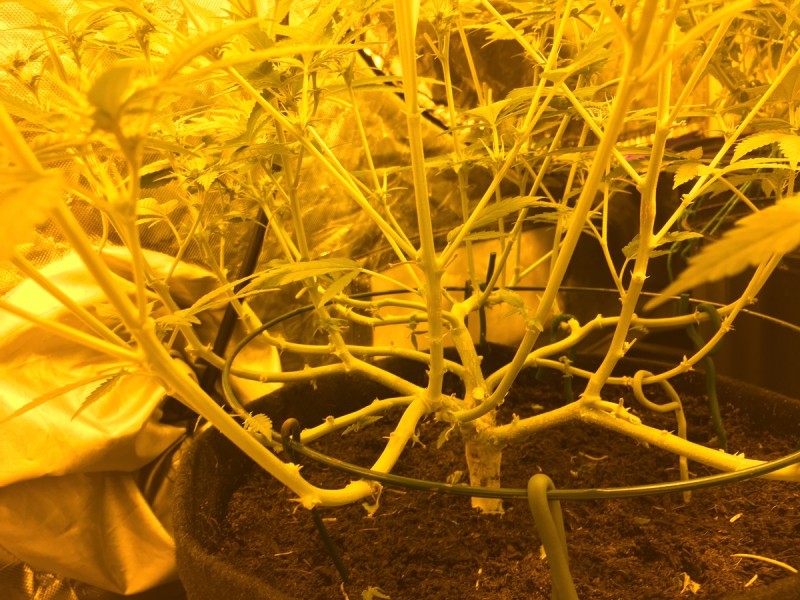 D8C8789B-F378-4427-9E3E-5B6AA3145ECA