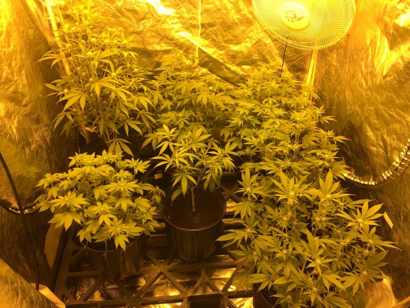 2BE3B79C-352E-4516-8BF2-D073E0D36446