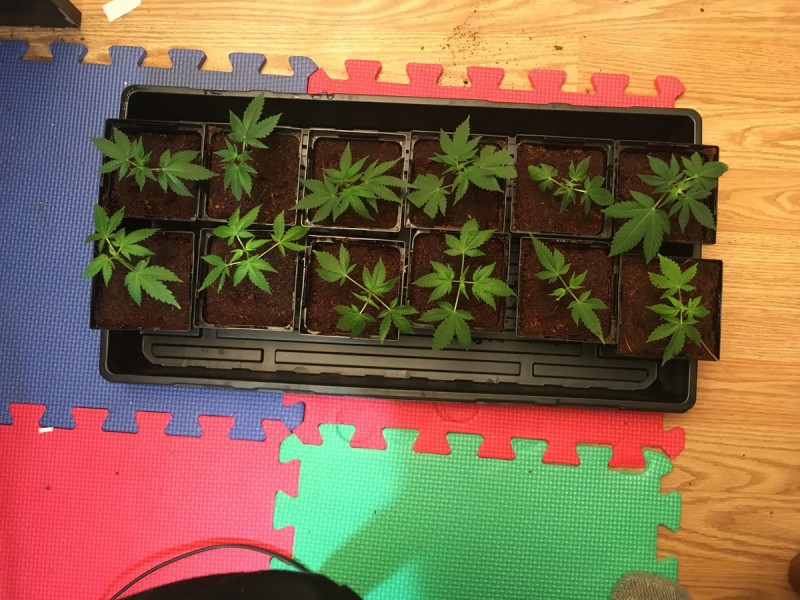 4DA5BC42-E262-4695-B735-8BBC9B0C1946