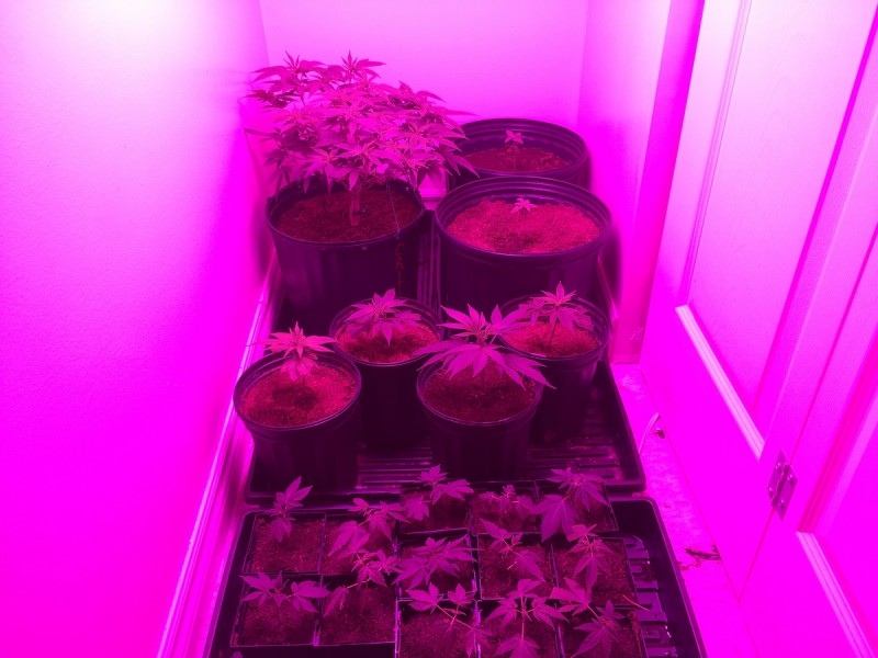 ADE283DB-2E3F-4235-B8B0-8E757B9E97A8