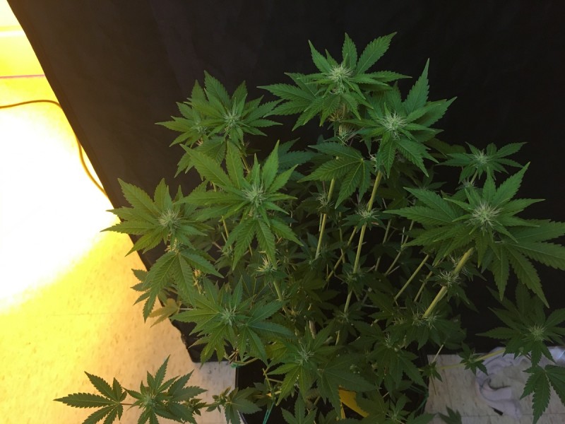 A67E7D0D-AFB0-43E0-BA66-A774609AB20B