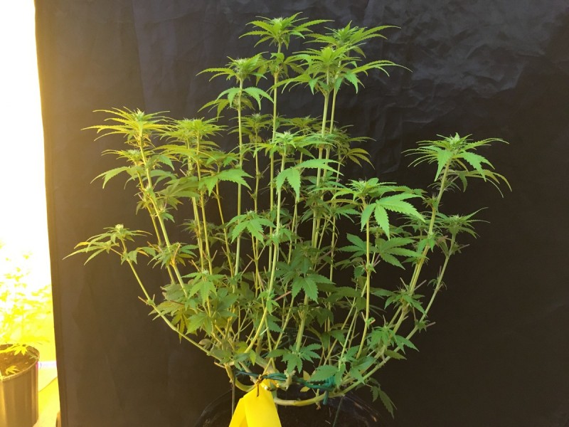 E4BAEE07-6BBB-4E8B-9483-69BD0D0DA3C5